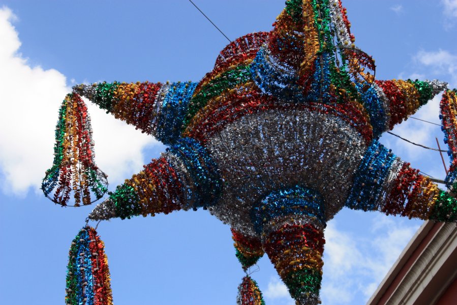 These are everywhere!