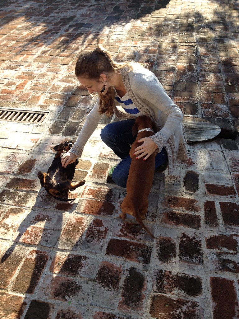 2 of the 4 dogs greeted me as I braved the cold outside our door before breakfast this morning