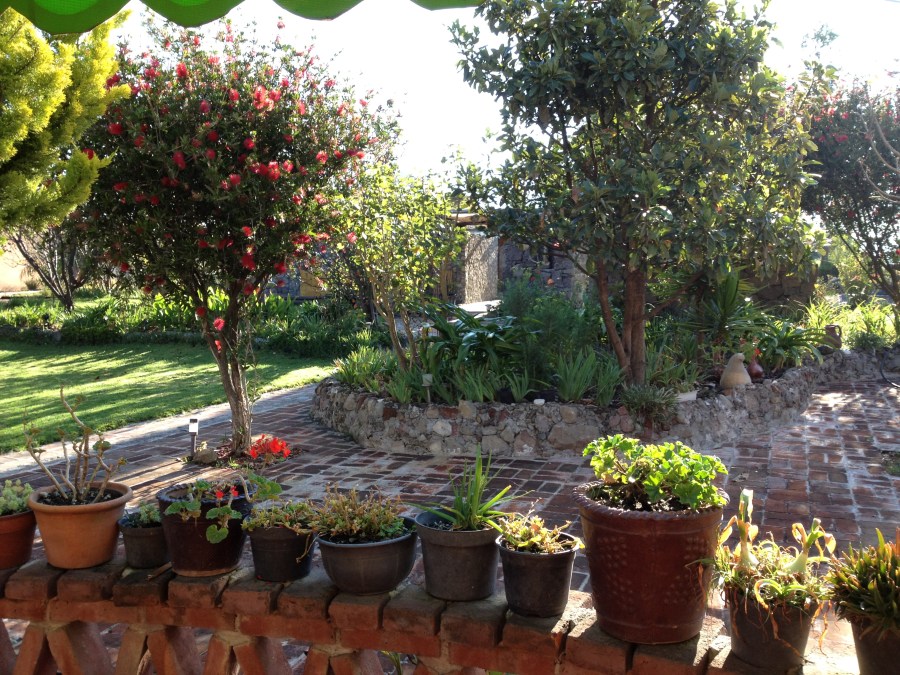 View from our breakfast table. 